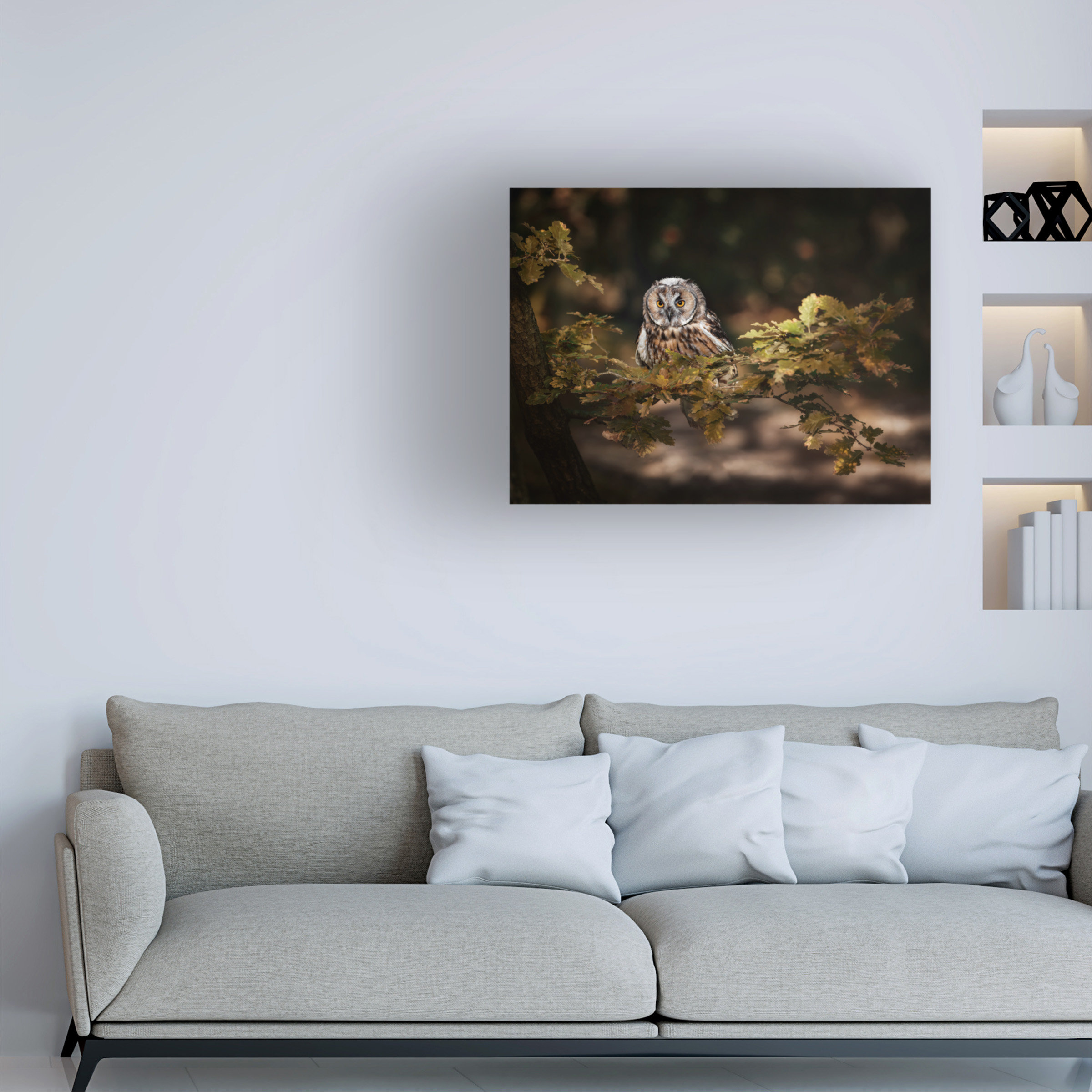 Trademark Fine Art Michaela Firesova Long Eared Owl Canvas Art Wayfair